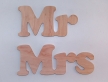1881-Напис "Mr Mrs"